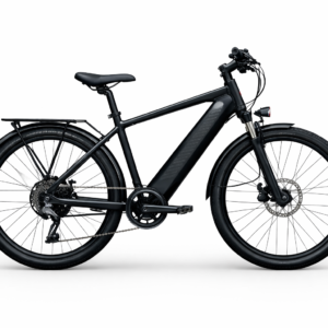 Electric SpeedX 3000 Elektrofahrrad