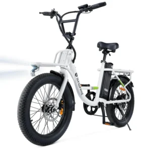 Elektrische Stadtkreuzfahrt (Isinwheel U7) Elektrofahrrad